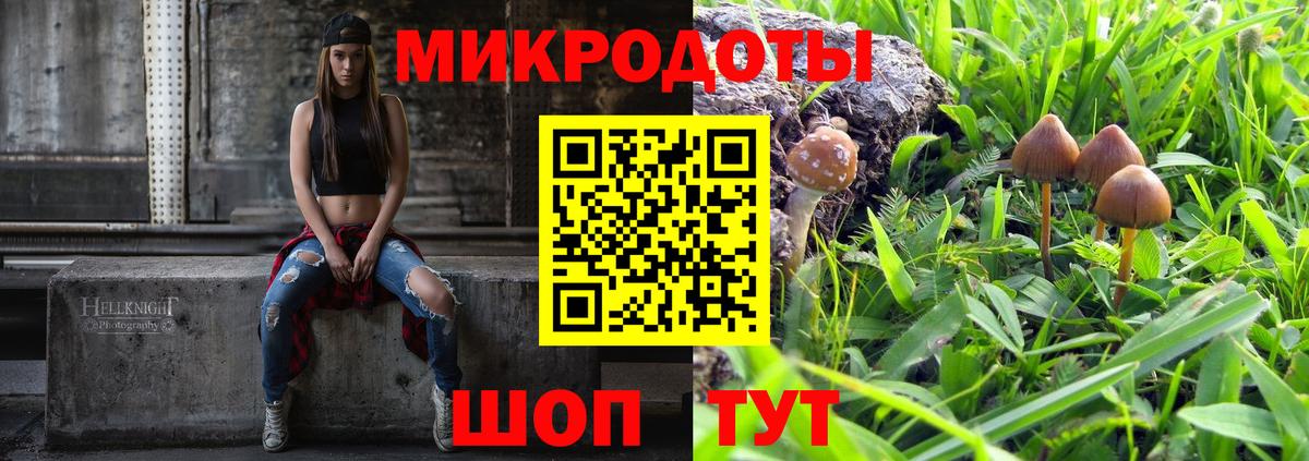 Псилоцибиновые грибы мухоморы Бугульма